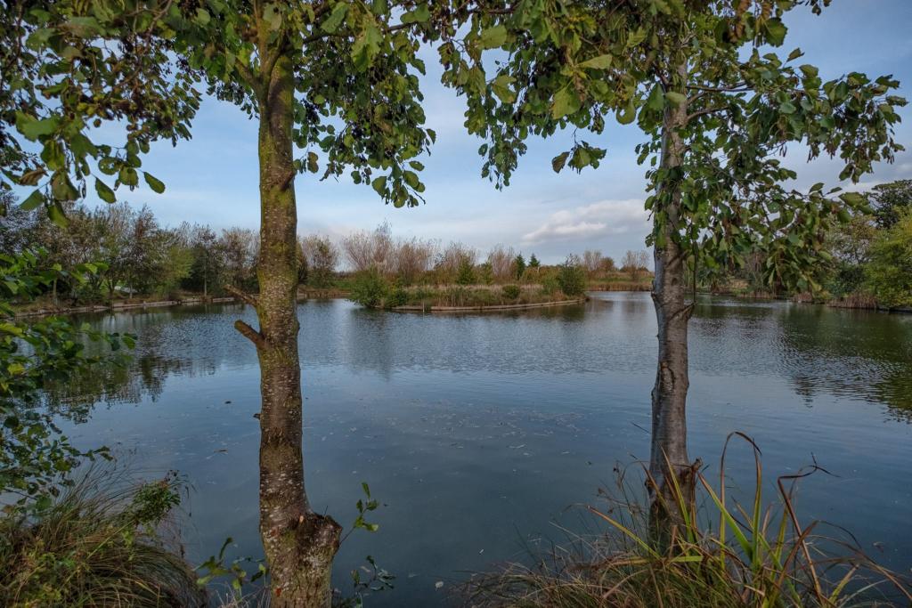 Oak Tree Fishery