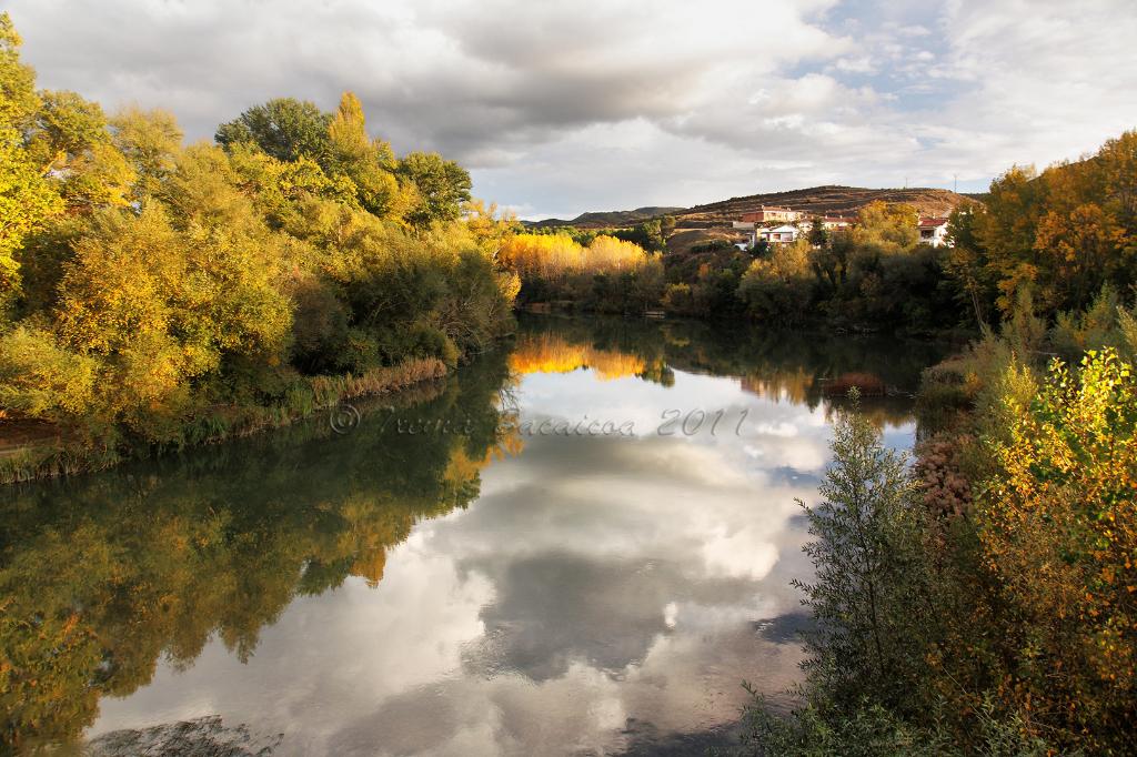 Coto Rio Aragón