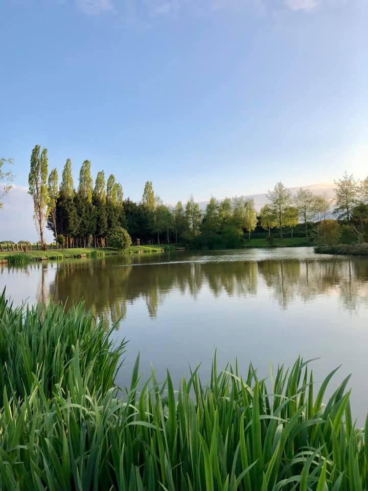 Swanlands Fishing Lakes