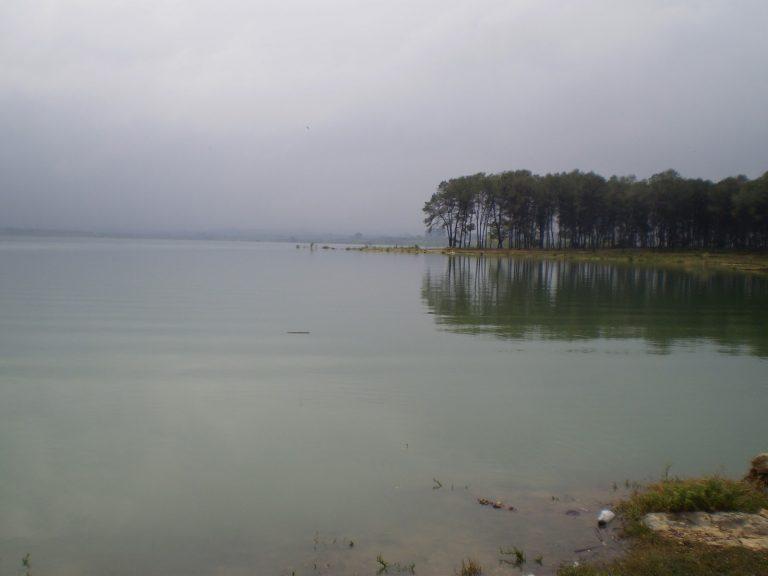 Coto Embalse de Bellus