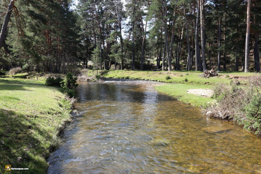 AREC Campamento Covaleda - Pesca Cangrejo