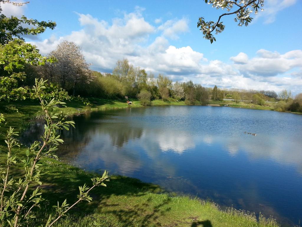 Angelsee Heiligenstedten