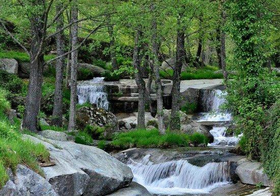 El Arenal - Pesca del Cangrejo