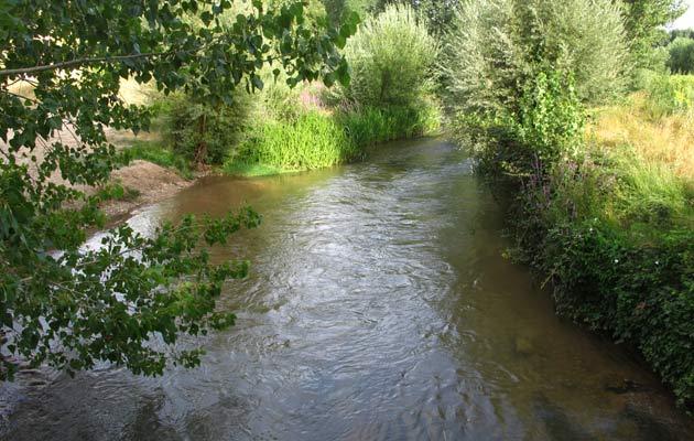 Haza - Pesca del Cangrejo (Río Riaza)