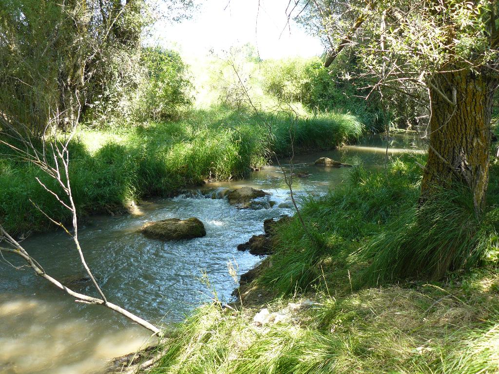 Peñaranda - Pesca del Cangrejo (Río Arandilla)