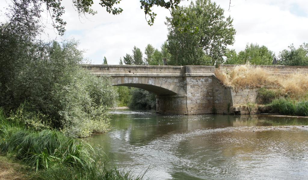 Melgar - Pesca del Cangrejo (Río Pisuerga)