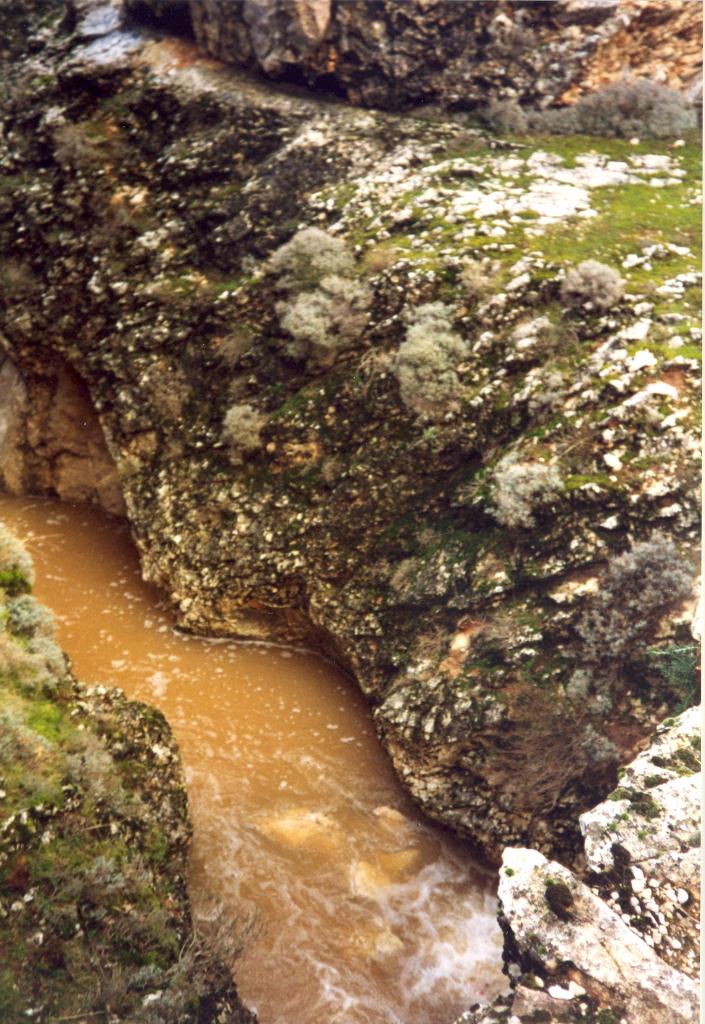 Huerta del Rey - Pesca del Cangrejo (Río Espeja)