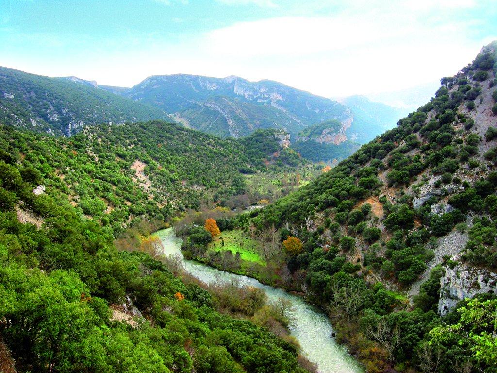 Coto Ebro II (Burgos)