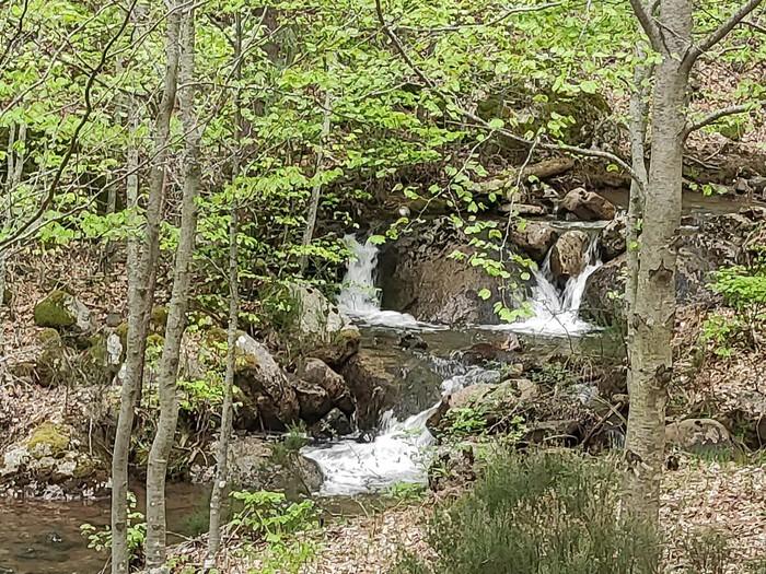 Arroyo Rompebarcas - Pesca del Cangrejo