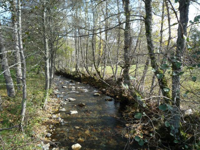 Río Ancares - Pesca del Cangrejo