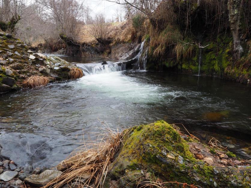 Candín - Pesca del Cangrejo (Río Ancares)