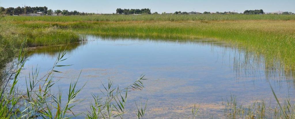 Laguna de Villagán - Pesca del Cangrejo