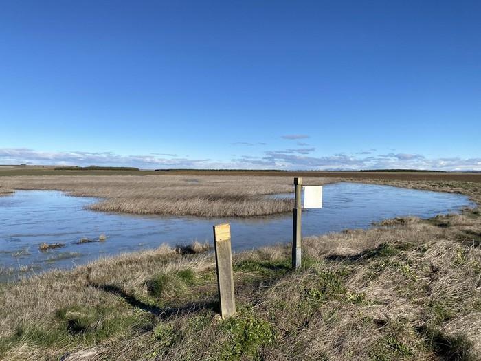 Laguna Grande de Valverde - Enrique