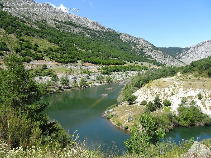 Río Grande - Pesca del Cangrejo