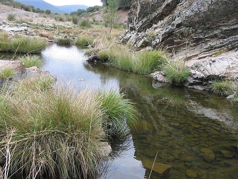 Arroyo de Carrozal - Refugio de Pesca