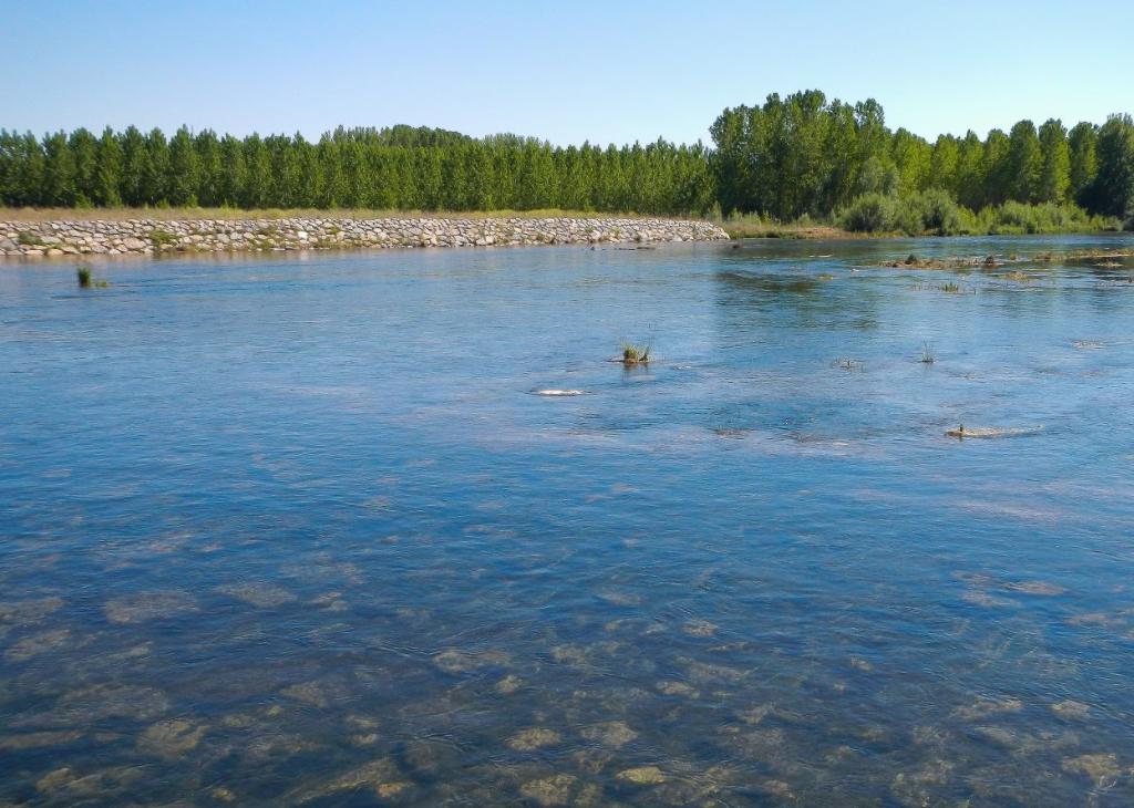 Esla II (Coto Gradefes) - Refugio de Pesca