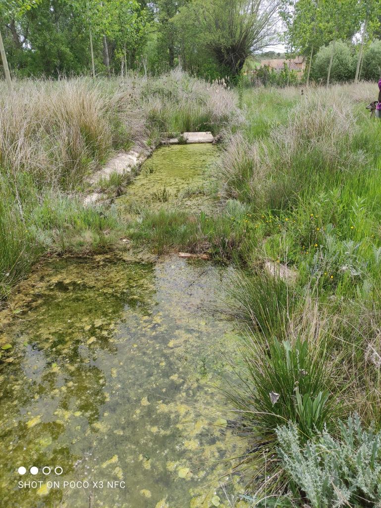 Laguna del Gamonal - Refugio de Pesca