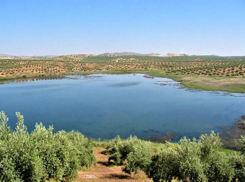 Laguna Honda - Refugio de Pesca