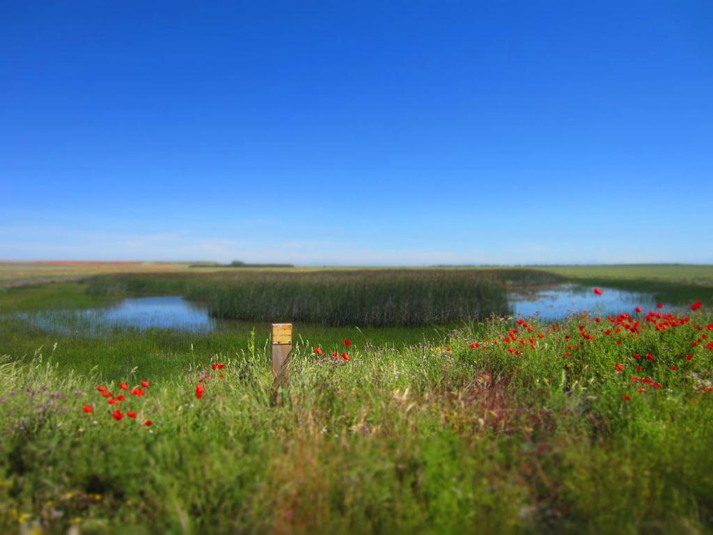 Laguna Retuerta - Refugio de Pesca