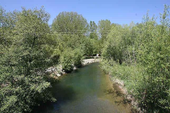 AREC La Vega - Pesca del Cangrejo (Río Carrión)