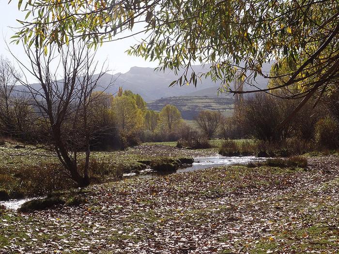 Arroyo de Valdetriollo - Refugio de Pesca