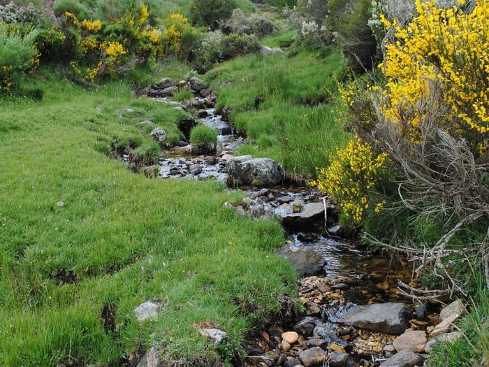 Arroyo de Valcobero - Refugio de Pesca