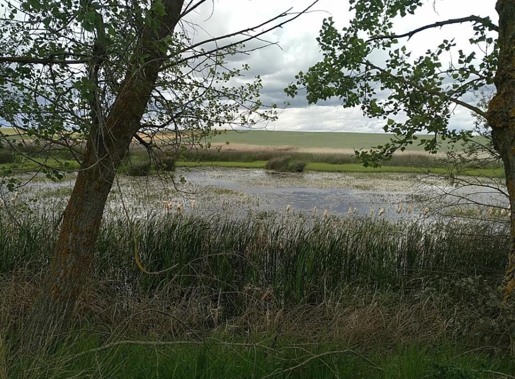 Laguna de Bezana - Refugio de Pesca