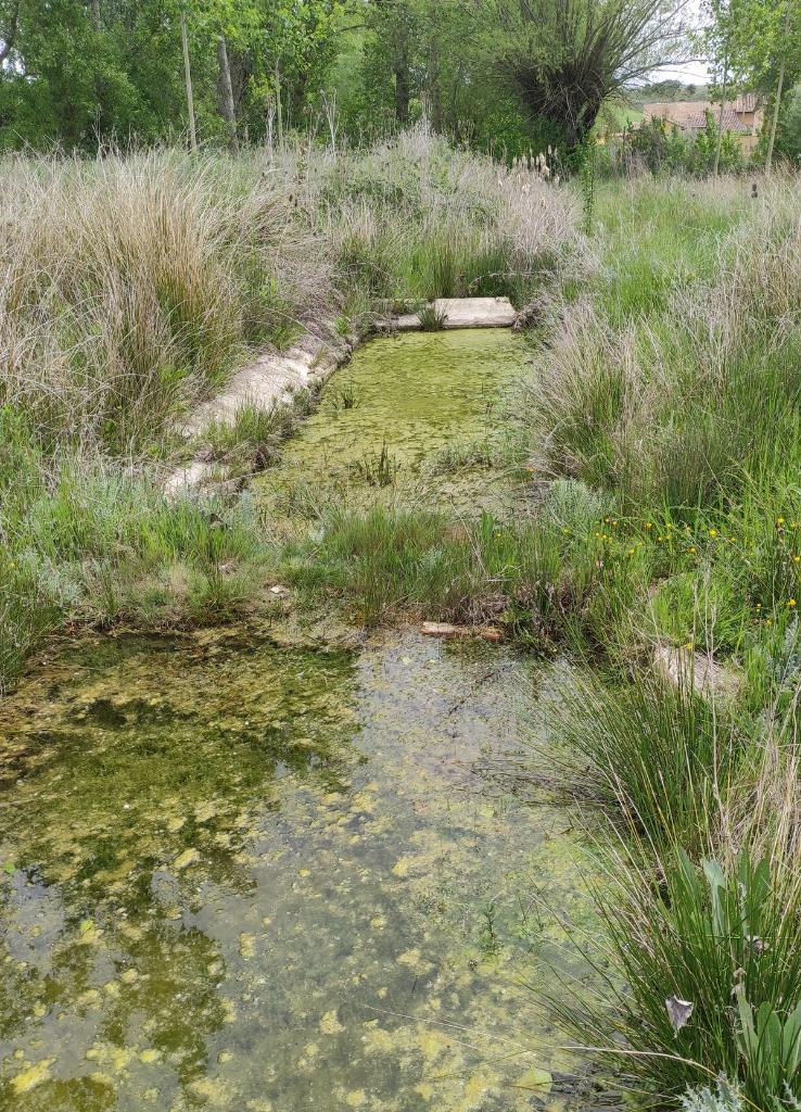 Laguna del Gamonal - Refugio de Pesca