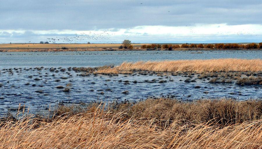 Laguna de la Nava - Refugio de Pesca