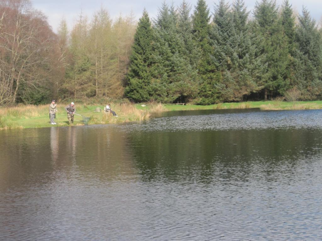 Annamoe Trout Fishery