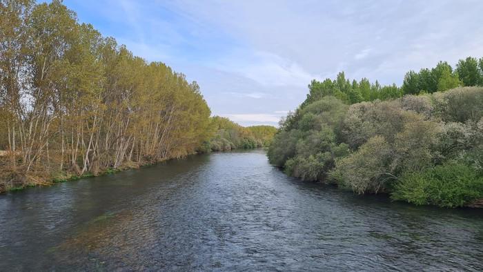 Coto Tormes (Salamanca) Pesca del Cangrejo