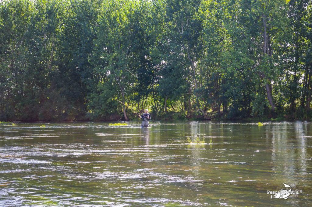 Coto Galisancho - Pesca del Cangrejo (Río Tormes)