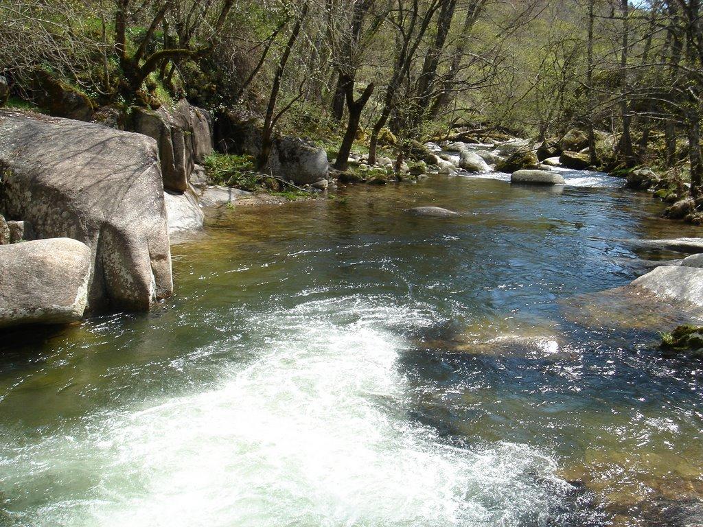 Río Francia - Refugio de Pesca