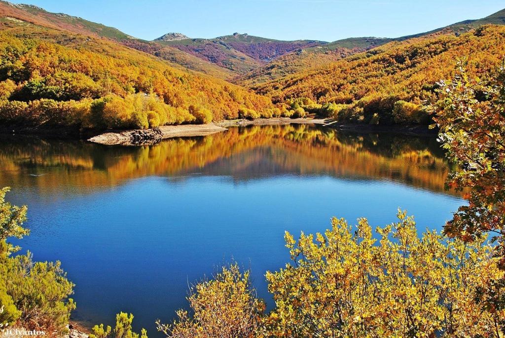 Coto Ríofrío de Riaza (Segovia)