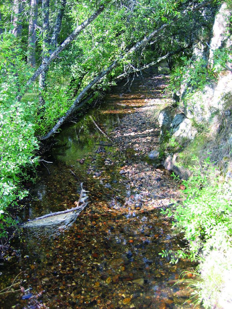 Río Riaza - Refugio de Pesca (Segovia)