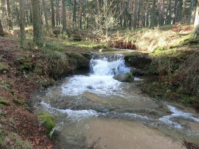 Arroyo de Blascomalo - Refugio de Pesca