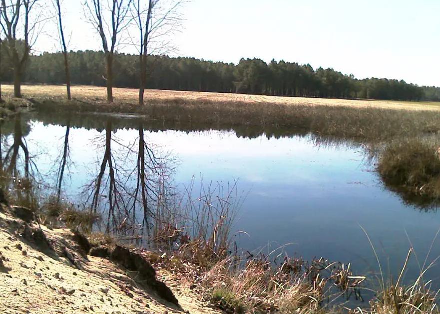 Laguna de la Tremedosa - Refugio de Pesca