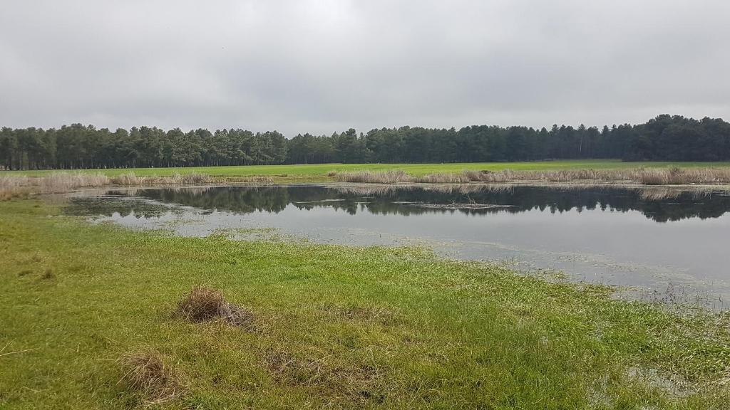 Laguna de Navaelsoto - Refugio de Pesca