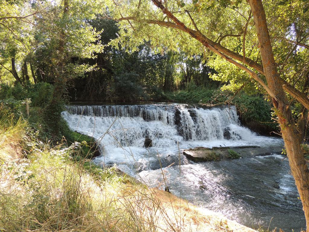 AREC Jubera (Río Jalon)