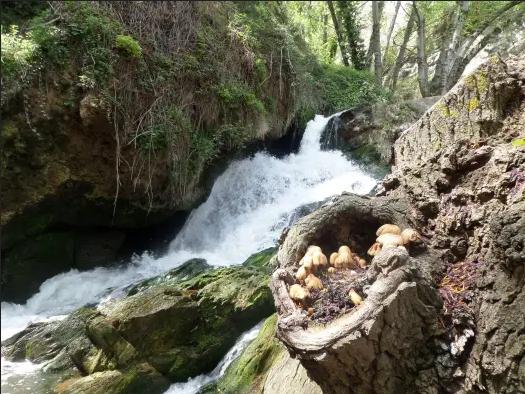 Río de la Casa O Val - Excepcion de Fecha