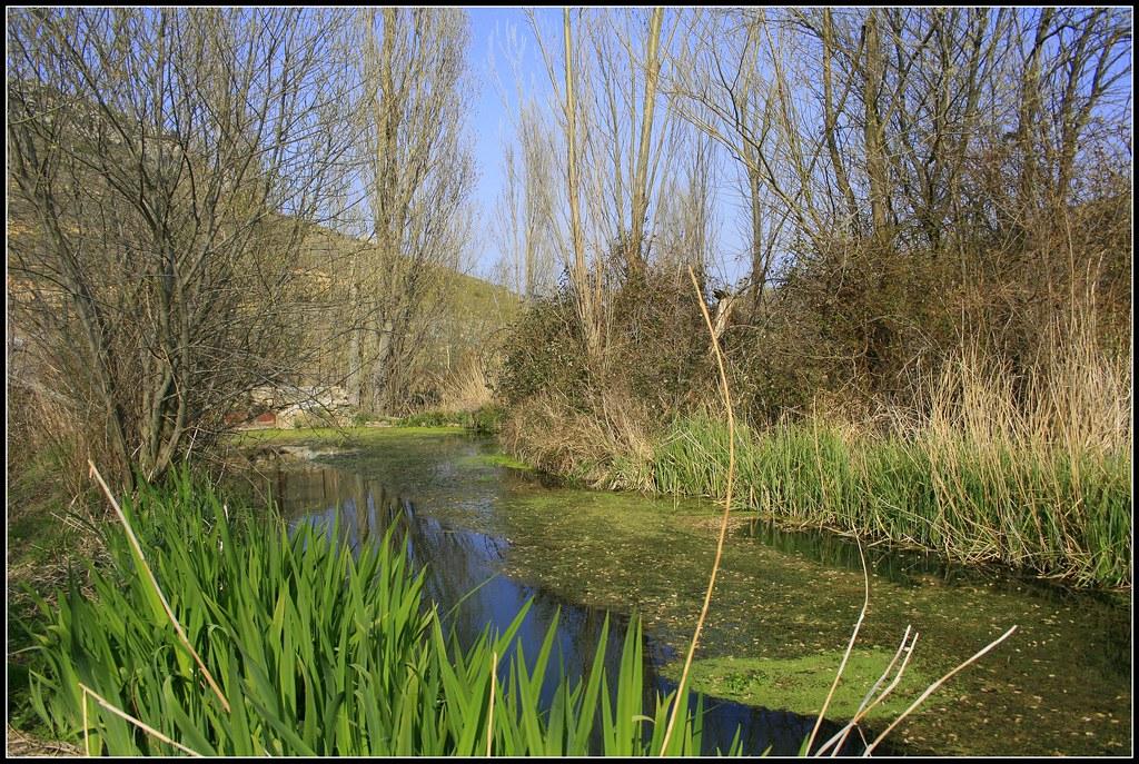 Río Manzano - Pesca del Cangrejo (Soria)