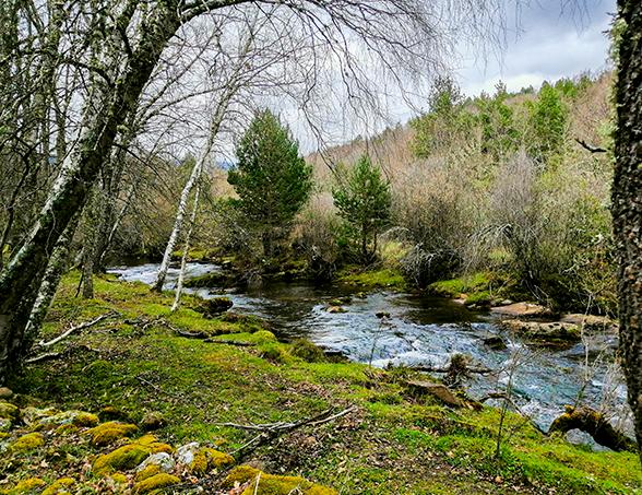 Río Razón I - Excepcion de Fecha (Soria)