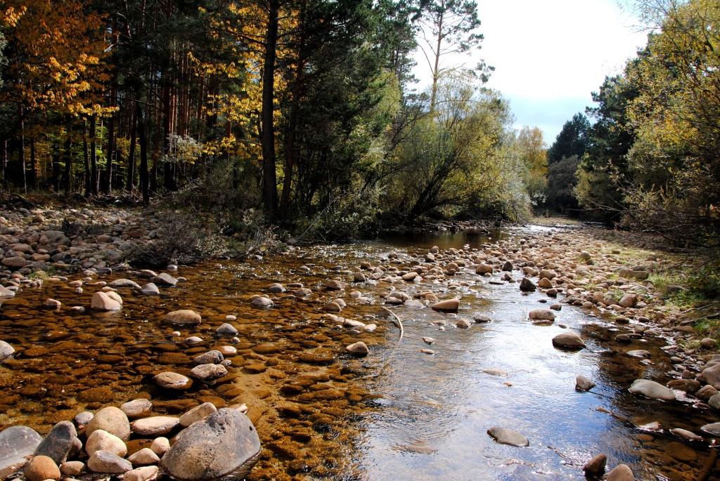 Río Revinuesa I - Excepción de Fecha (Soria)