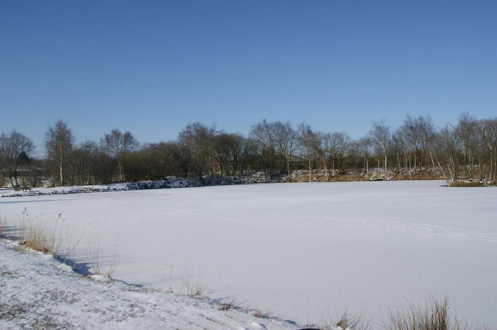 Herning Fiskepark