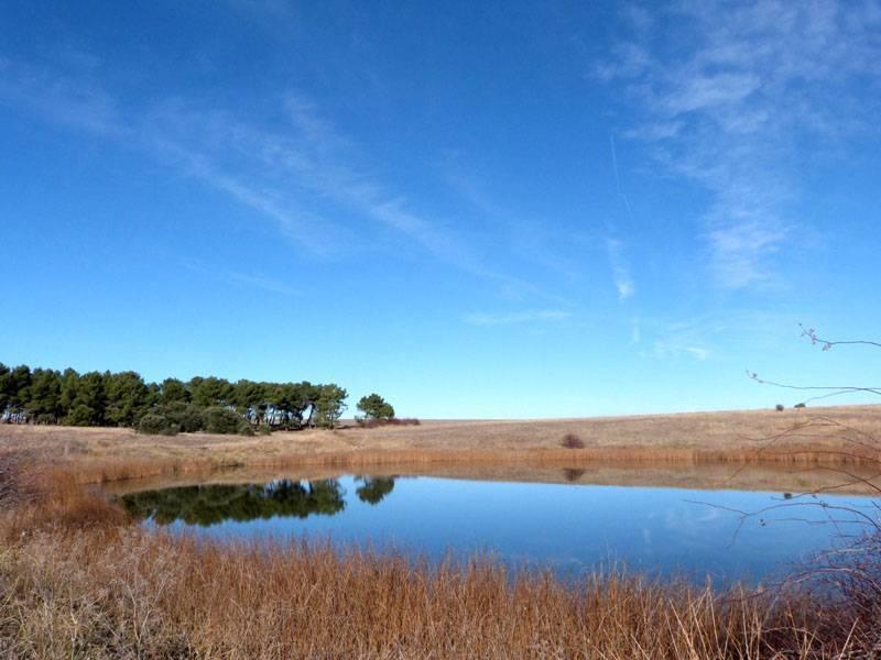 Laguna Honda - Refugio de Pesca