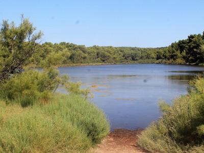 Gola s'Albufera - Pesca del Cangrejo