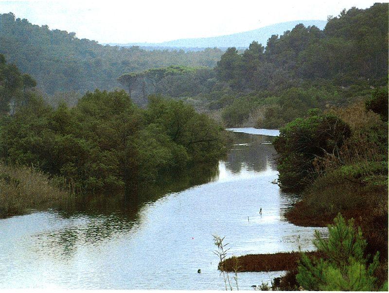 Torrent de na Borges - Pesca del Cangrejo