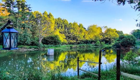 Etang des Lys