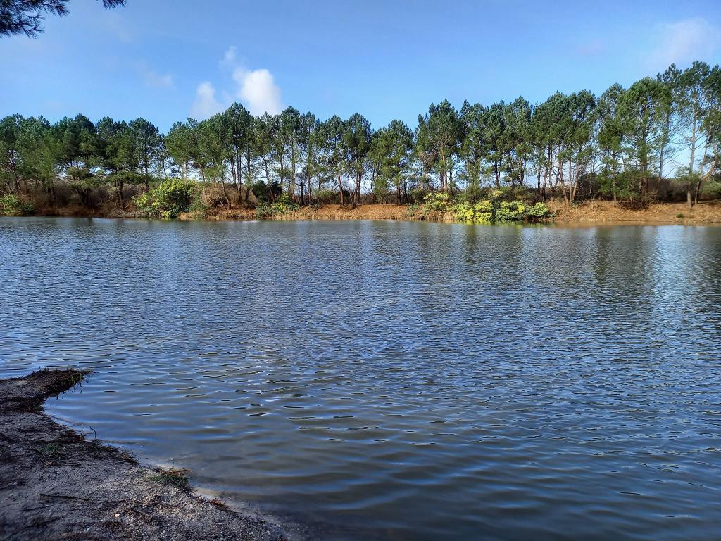 Etang de la Barreyre