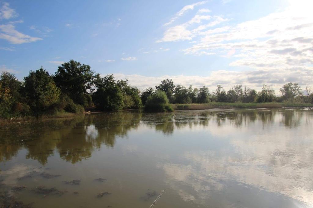 Etang des Trembles